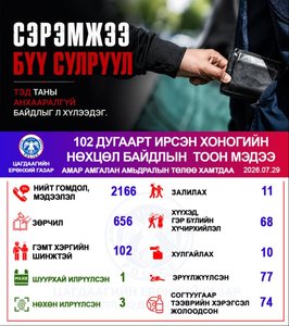 Хоногийн хугацаанд халаасны хулгайн 10 гэмт хэрэг бүртгэгдлээ